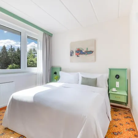 Im In Vogtl Apartament
